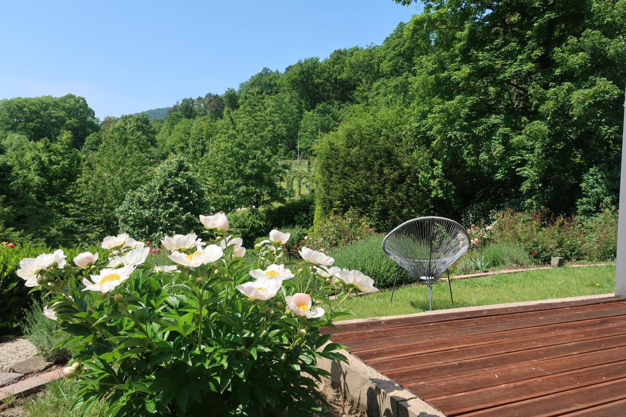 Apartment Im Rosentraum Mit Privater Terasse บาเดน-บาเดน ภายนอก รูปภาพ